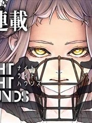 苹果之夜